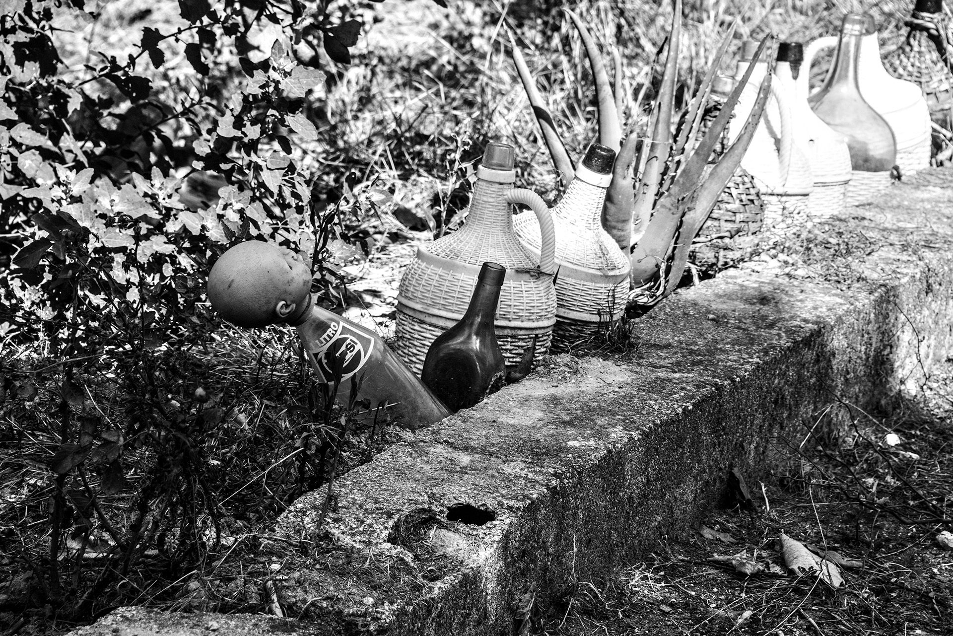 Fernandinho, Birnenernte im Gewann Freiria Fernandinho, Birnenernte im Gewann Freiria