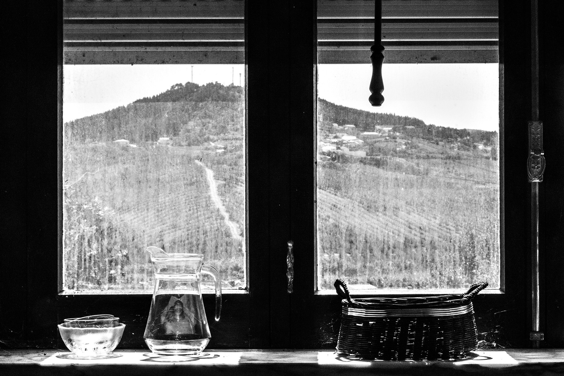 Fernandinho, Birnenernte im Gewann Freiria Fernandinho, Birnenernte im Gewann Freiria