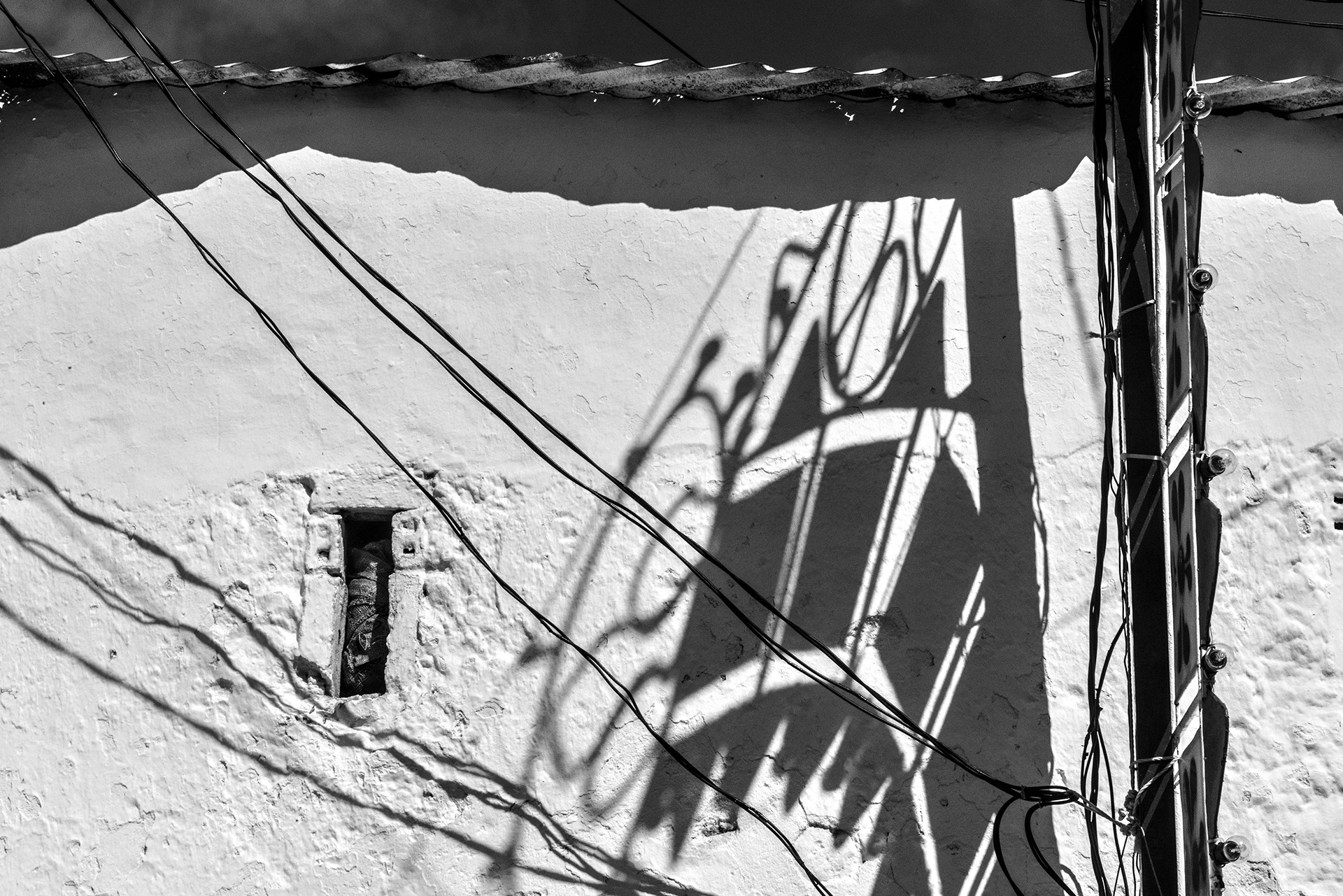 Fernandinho, Birnenernte im Gewann Freiria Fernandinho, Birnenernte im Gewann Freiria