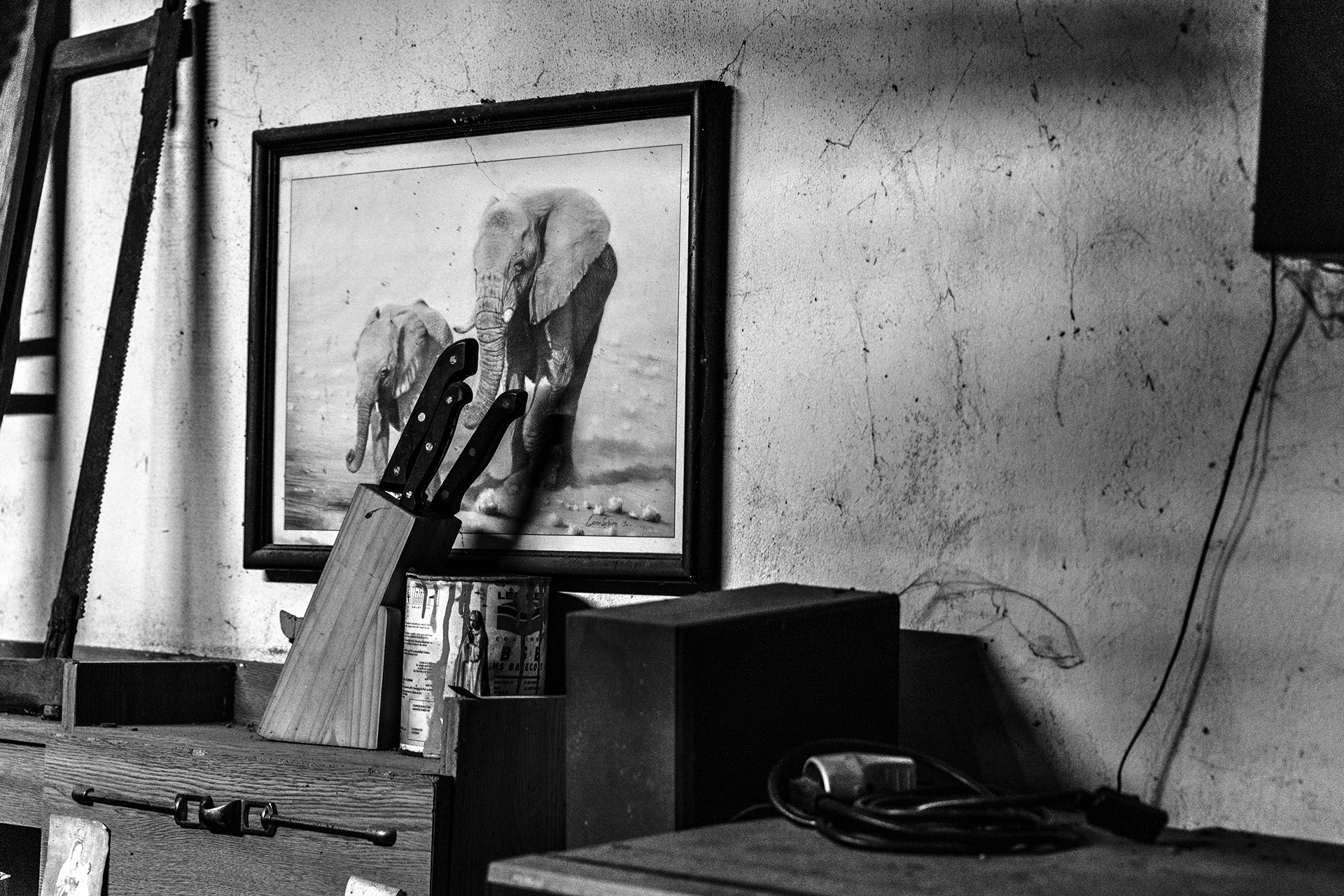 Fernandinho, Birnenernte im Gewann Freiria Fernandinho, Birnenernte im Gewann Freiria