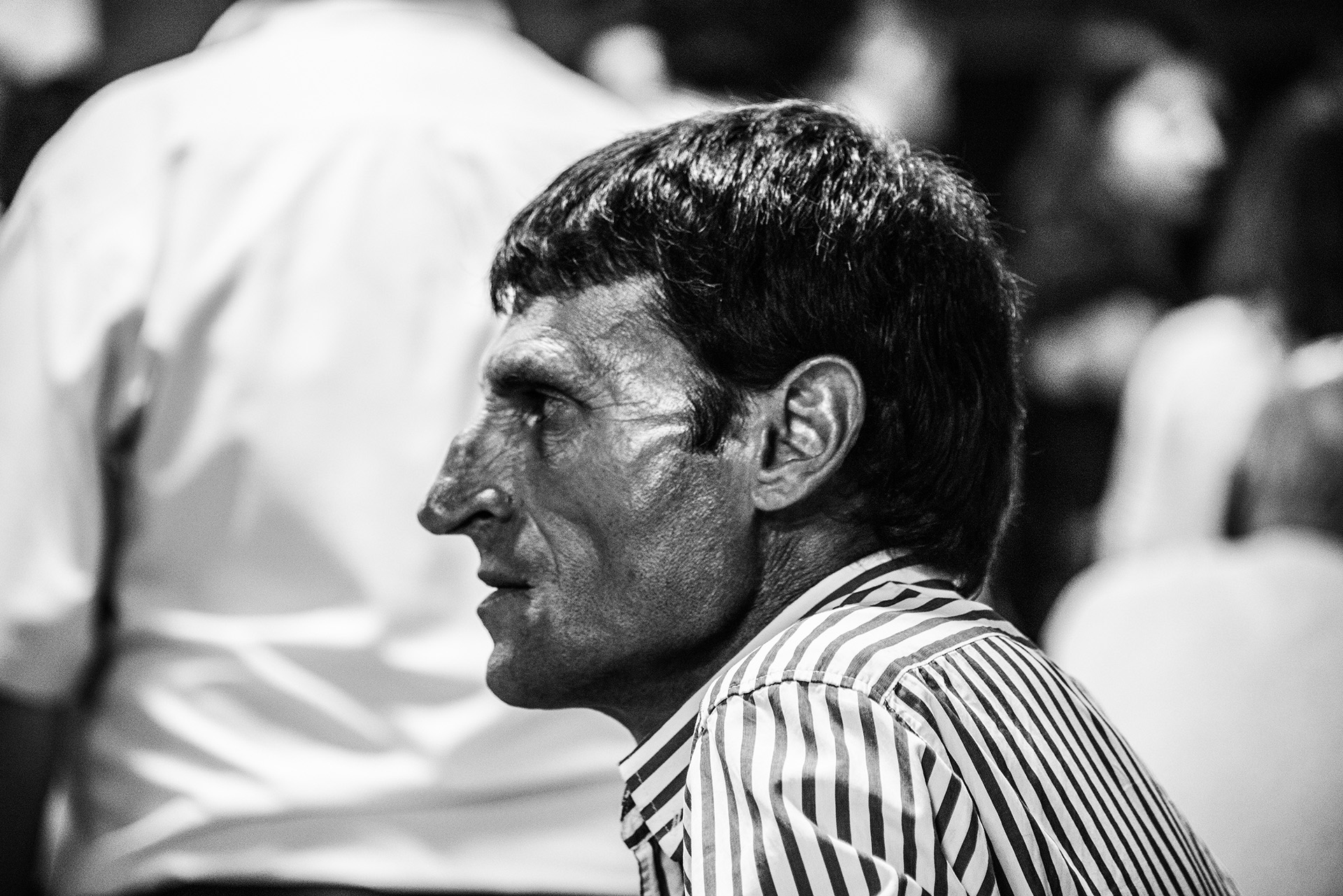 Fernandinho, Birnenernte im Gewann Freiria Fernandinho, Birnenernte im Gewann Freiria